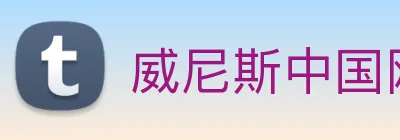 威尼斯中国网站 Logo